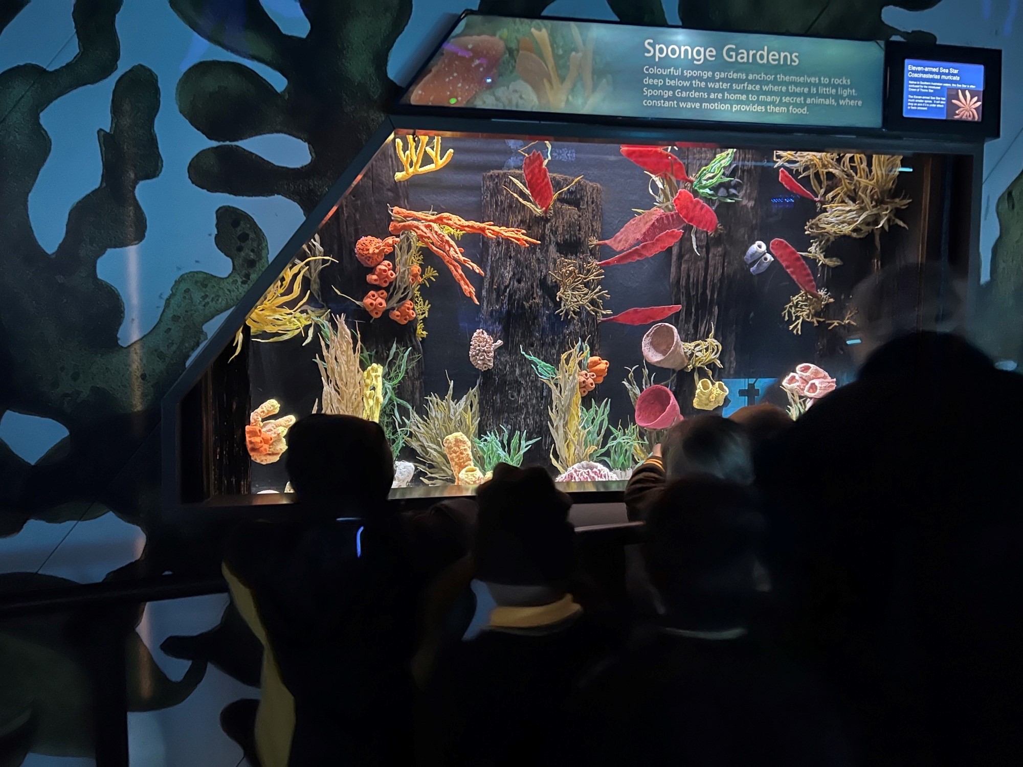 /uploaded_files/media/gallery/1659494482zoo 7.jpg